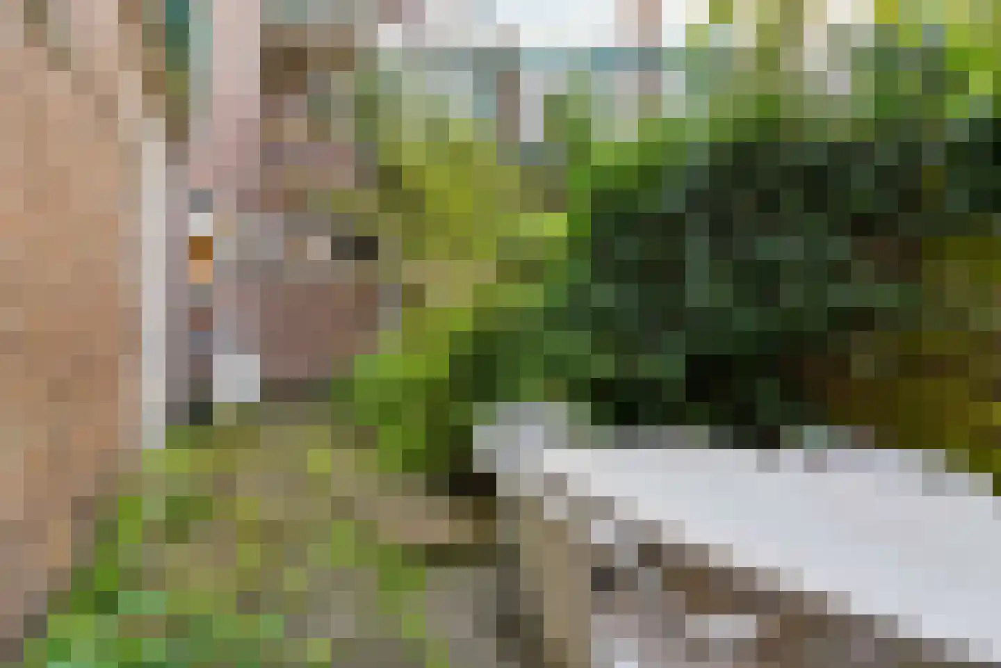 Schutstraat 66 Utrecht thumbnail 4
