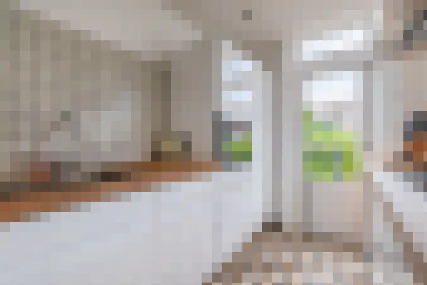 Schutstraat 84 Utrecht thumbnail 21