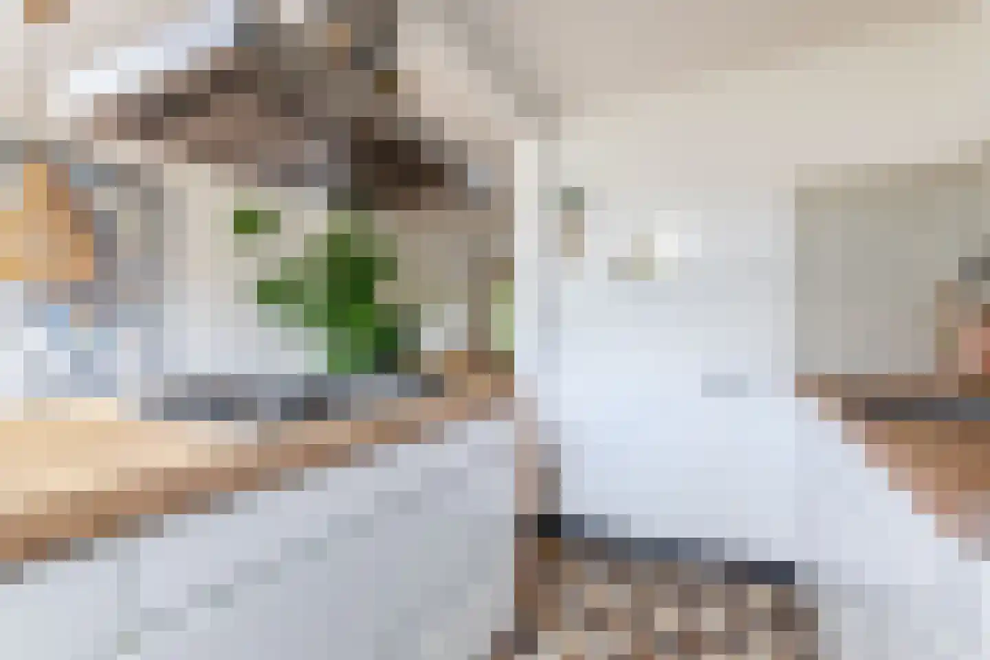 Schutstraat 84 Utrecht thumbnail 22