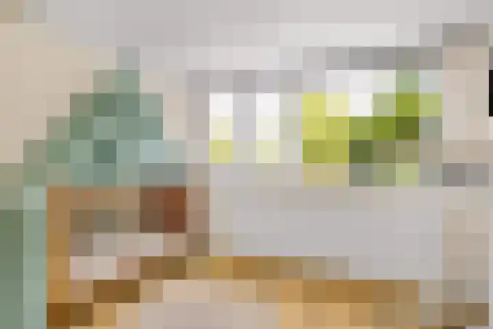 Schutstraat 96 Utrecht thumbnail 26
