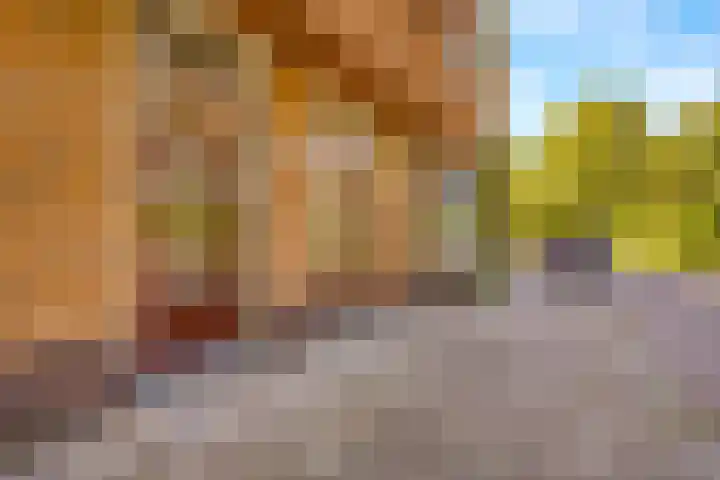 Schutstraat 96 Utrecht thumbnail 34
