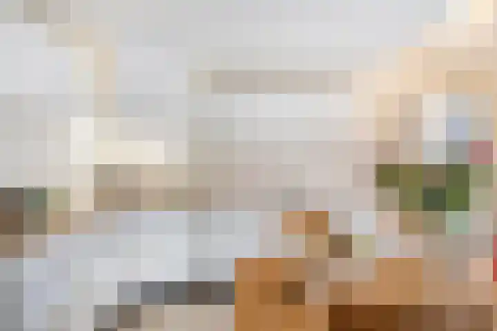 Schutsveld 11 Gemert thumbnail 23