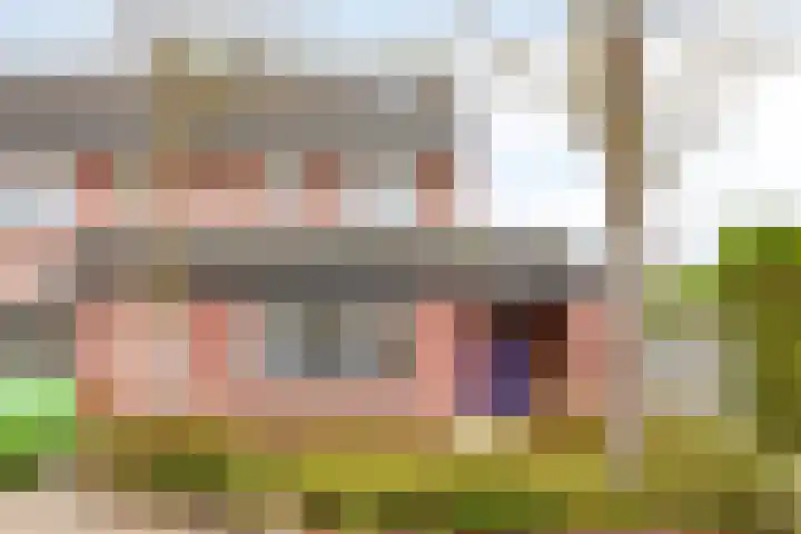 Schutsveld 11 Gemert thumbnail 6