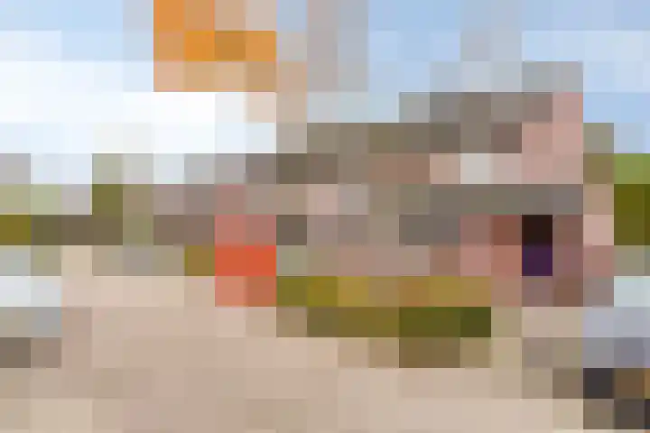 Schutsveld 11 Gemert thumbnail 8