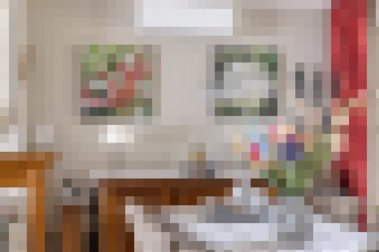 Schutsveld 8 Gemert thumbnail 11