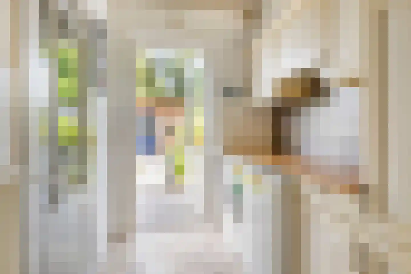 Schutsveld 8 Gemert thumbnail 17