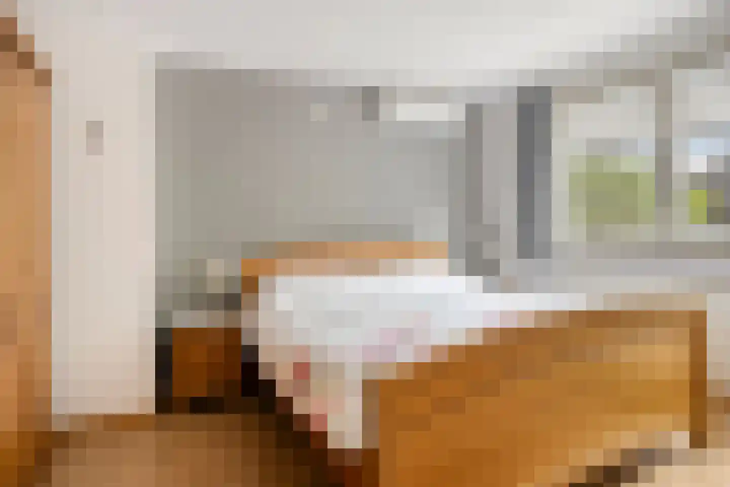 Schutsveld 8 Gemert thumbnail 19