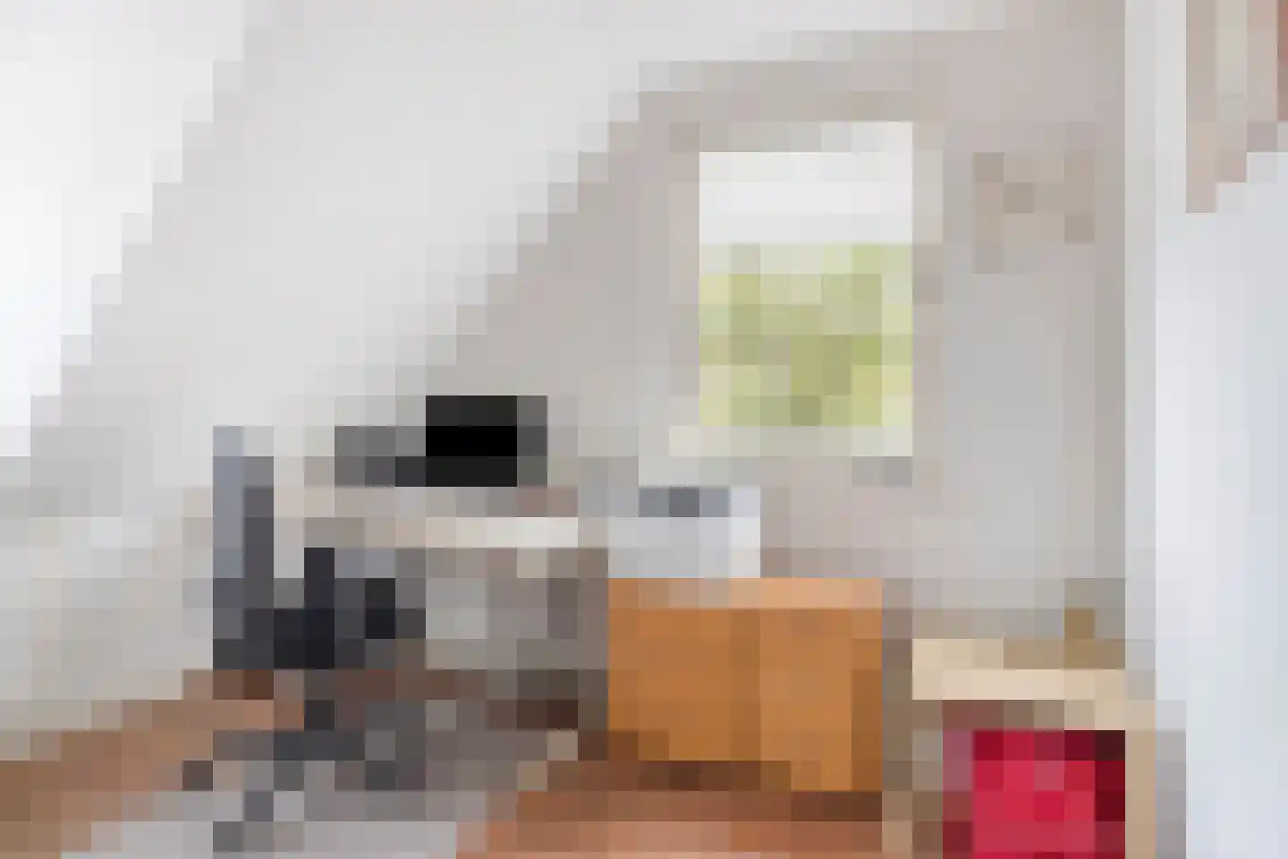Schutsveld 8 Gemert thumbnail 30