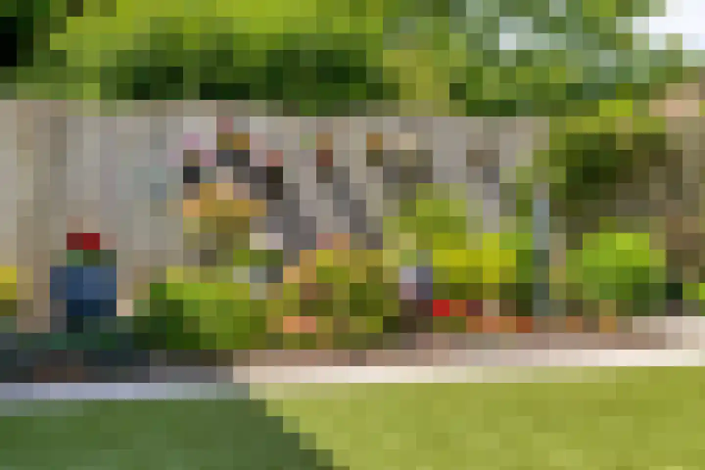 Schutsveld 8 Gemert thumbnail 39