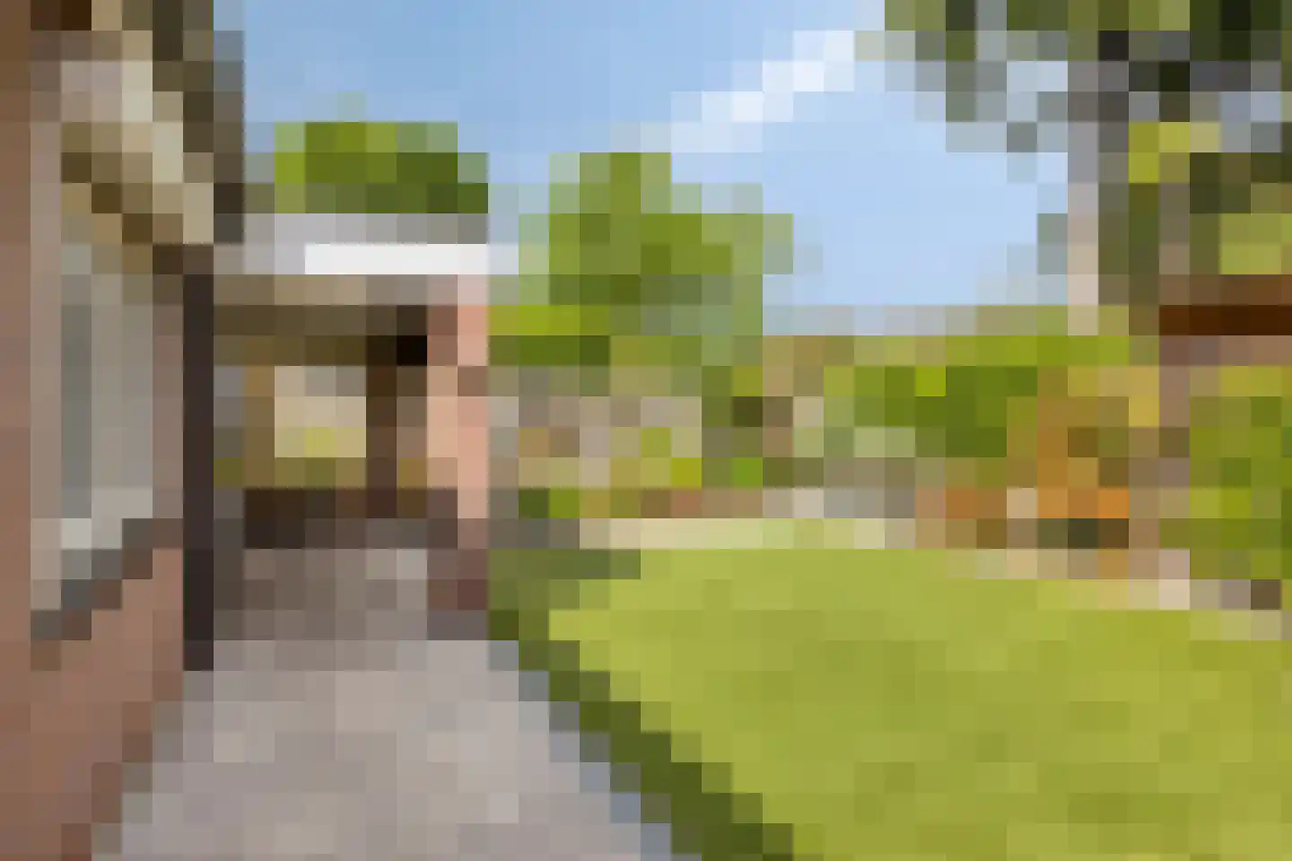 Schutsveld 8 Gemert thumbnail 40