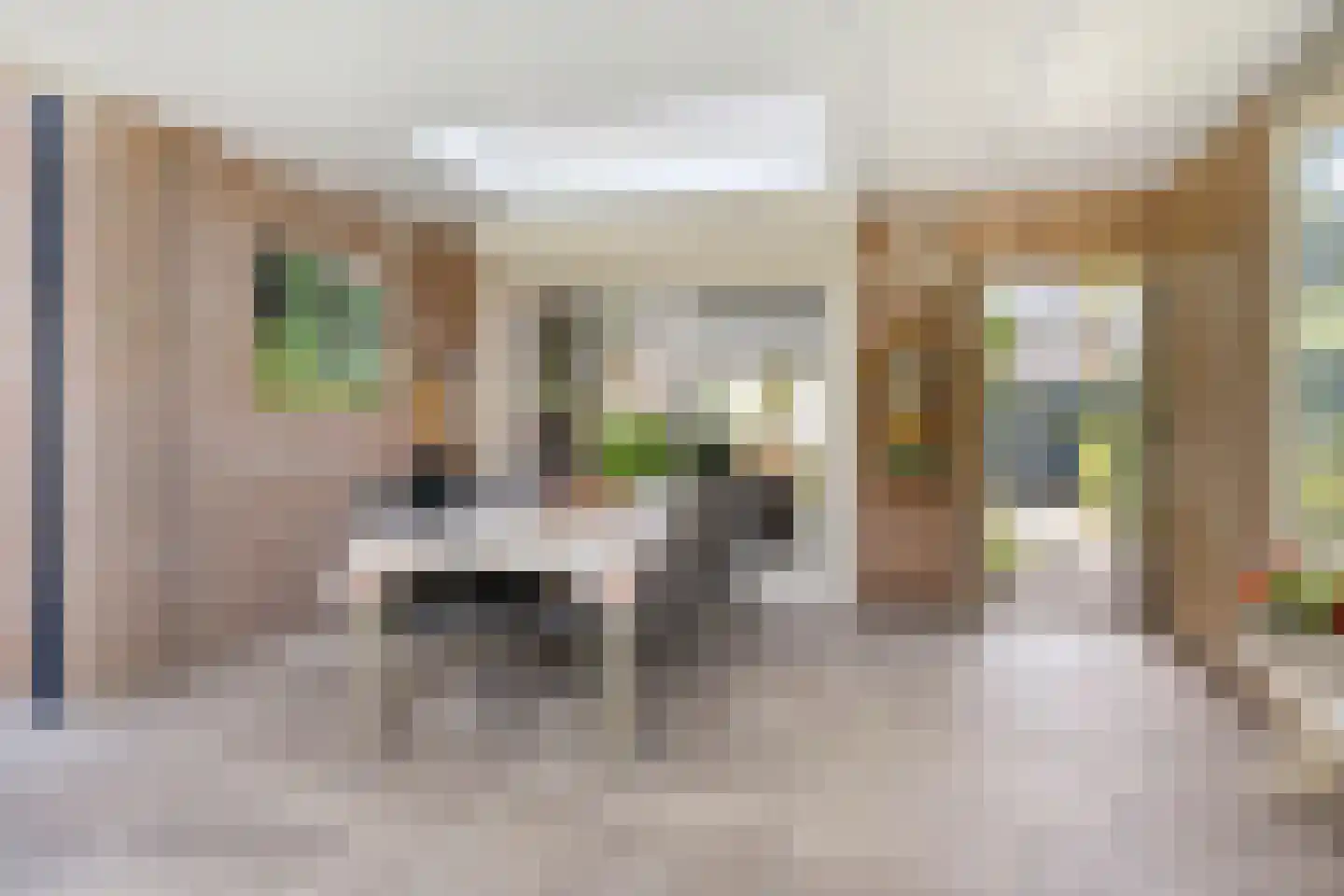 Schutsveld 8 Gemert thumbnail 41