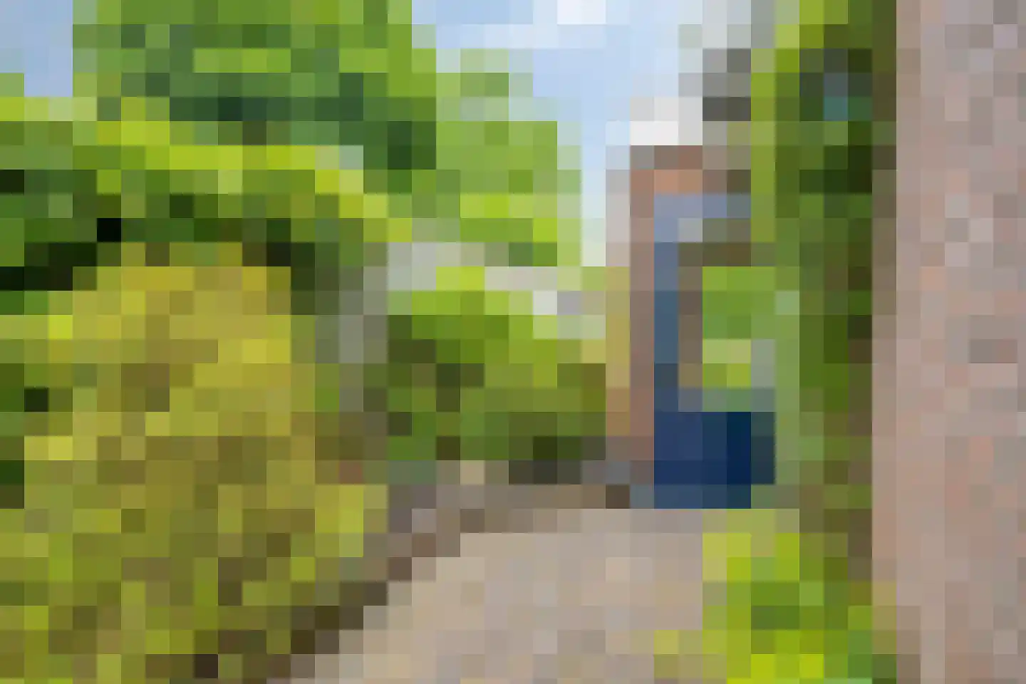 Schutsveld 8 Gemert thumbnail 43