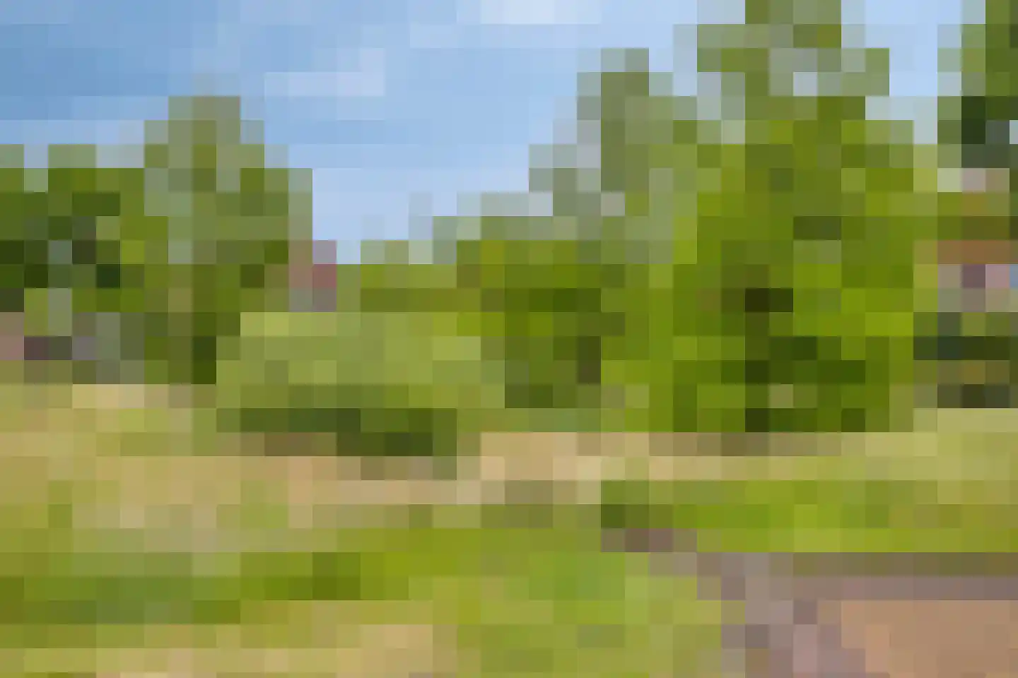 Schutsveld 8 Gemert thumbnail 51