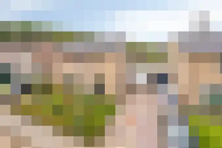 Schutsweg 4 Zuidlaren