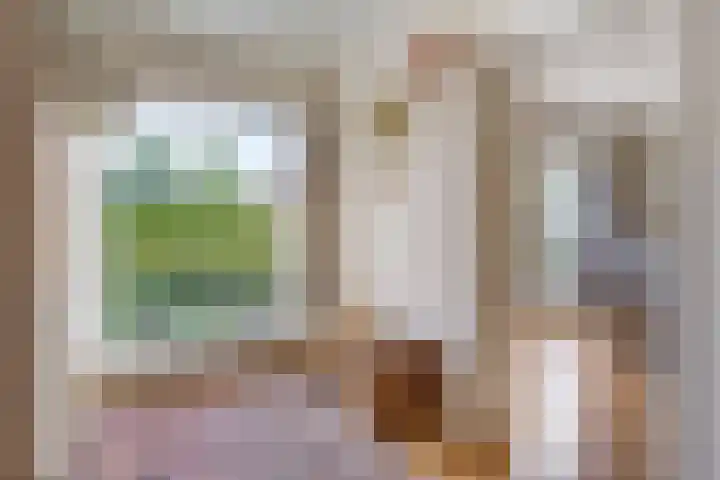 Schutsweg 4 Zuidlaren thumbnail 12