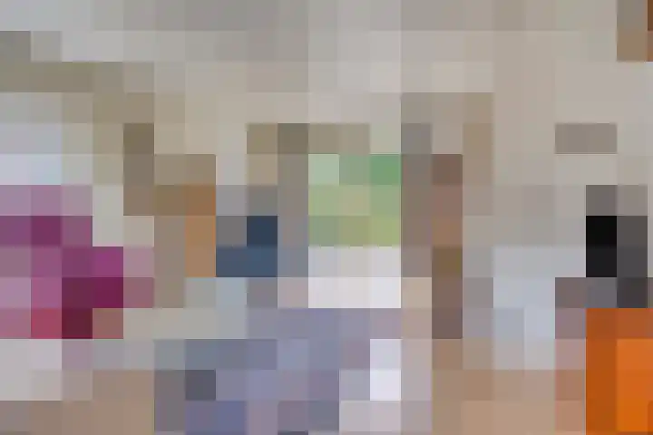 Schutsweg 4 Zuidlaren thumbnail 14