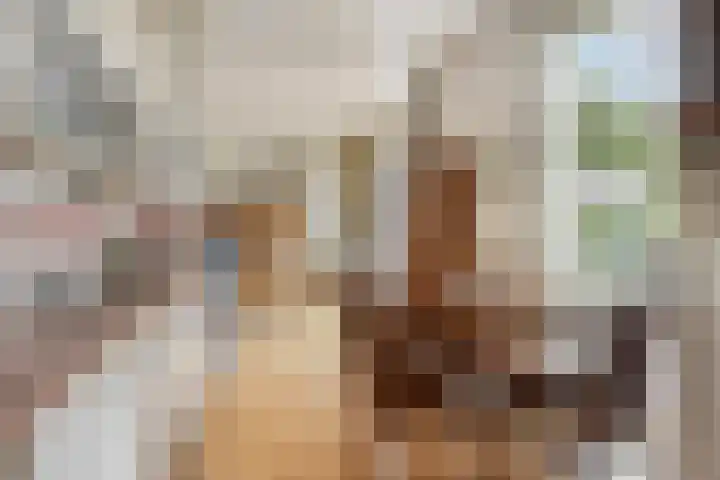 Schutsweg 4 Zuidlaren thumbnail 17