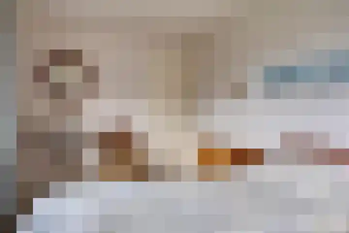 Schutsweg 4 Zuidlaren thumbnail 25