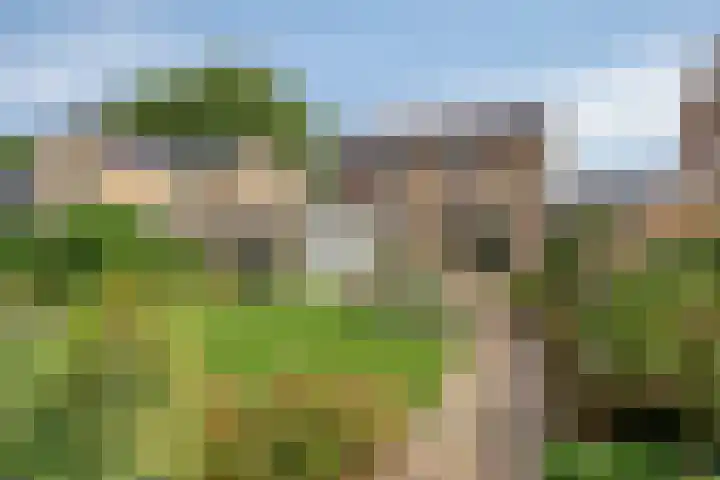 Schutsweg 4 Zuidlaren thumbnail 32