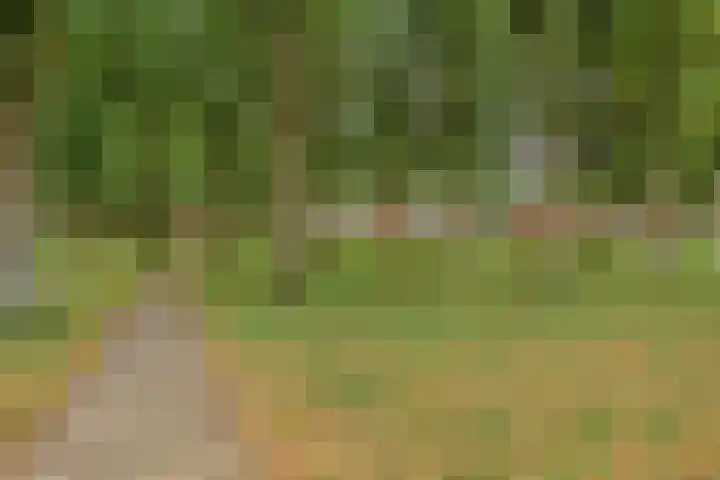 Schutsweg 4 Zuidlaren thumbnail 39