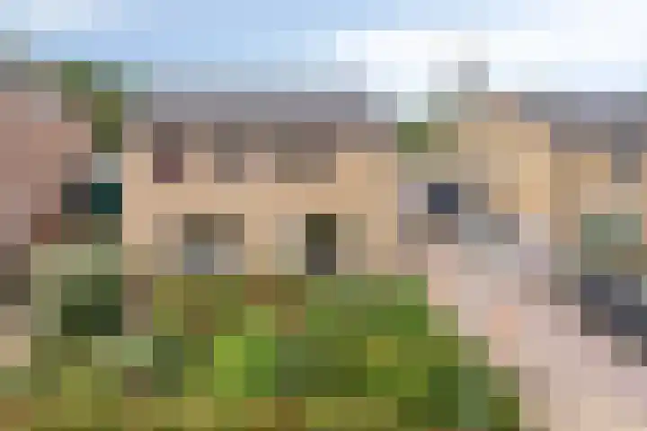 Schutsweg 4 Zuidlaren thumbnail 9