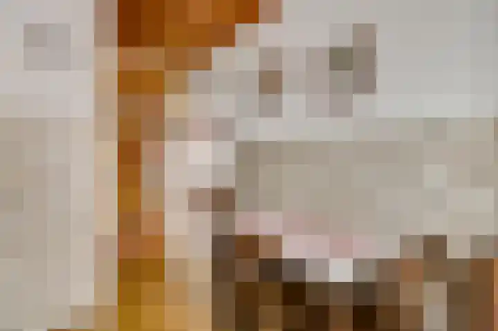 Schuttebeemd 111 Weert thumbnail 17