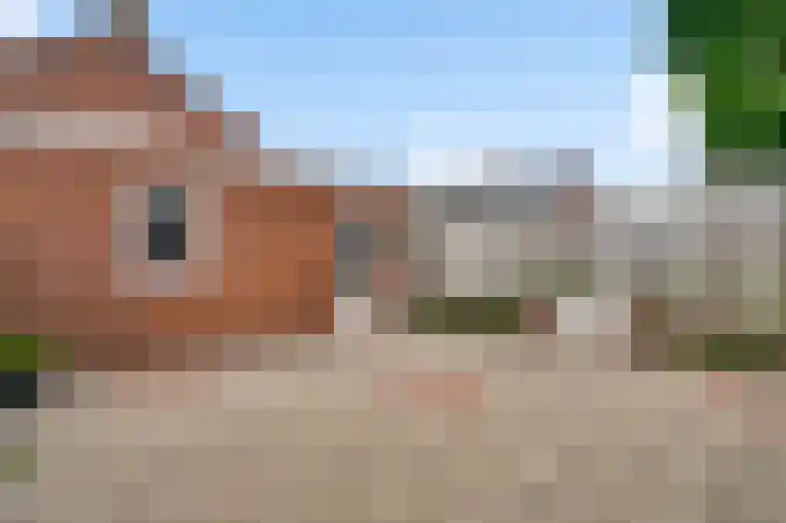 Schuttebeemd 111 Weert thumbnail 25
