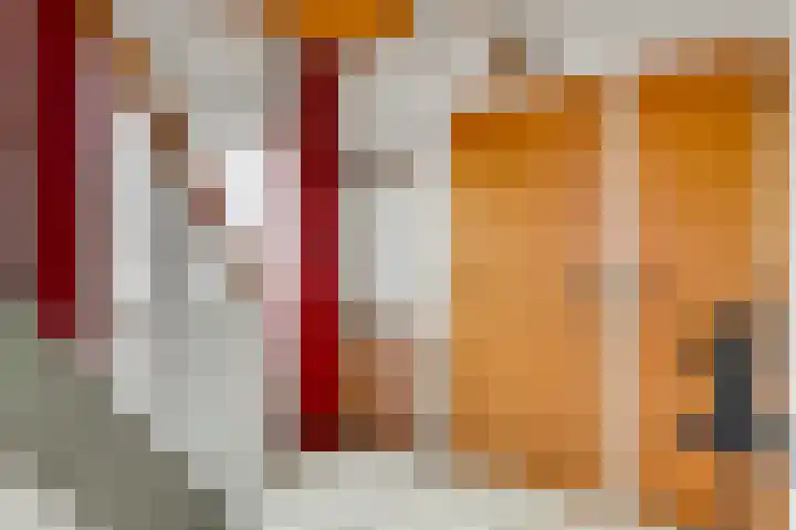 Schuttebeemd 111 Weert thumbnail 9