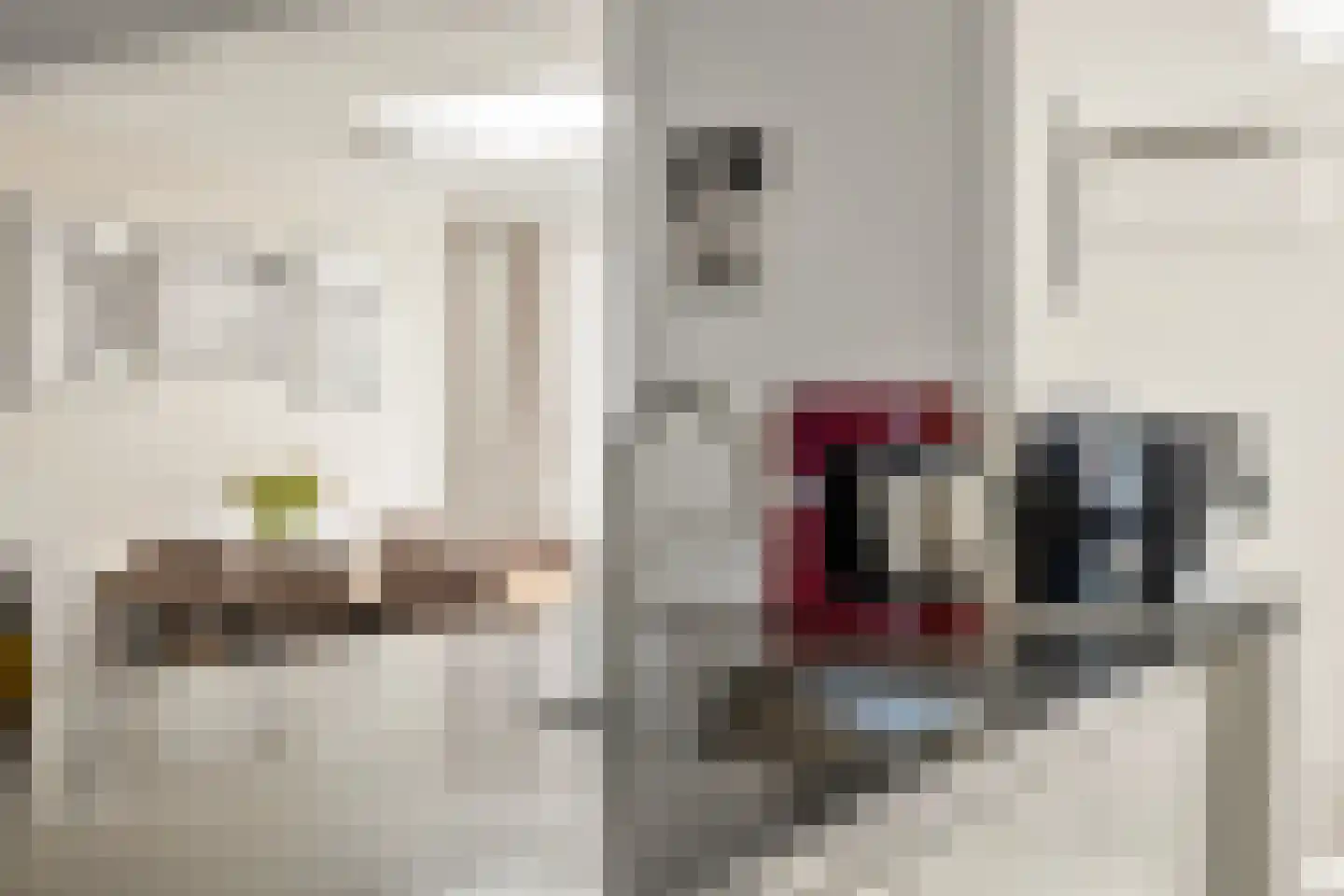 Schuttebeemd 120 Weert thumbnail 17