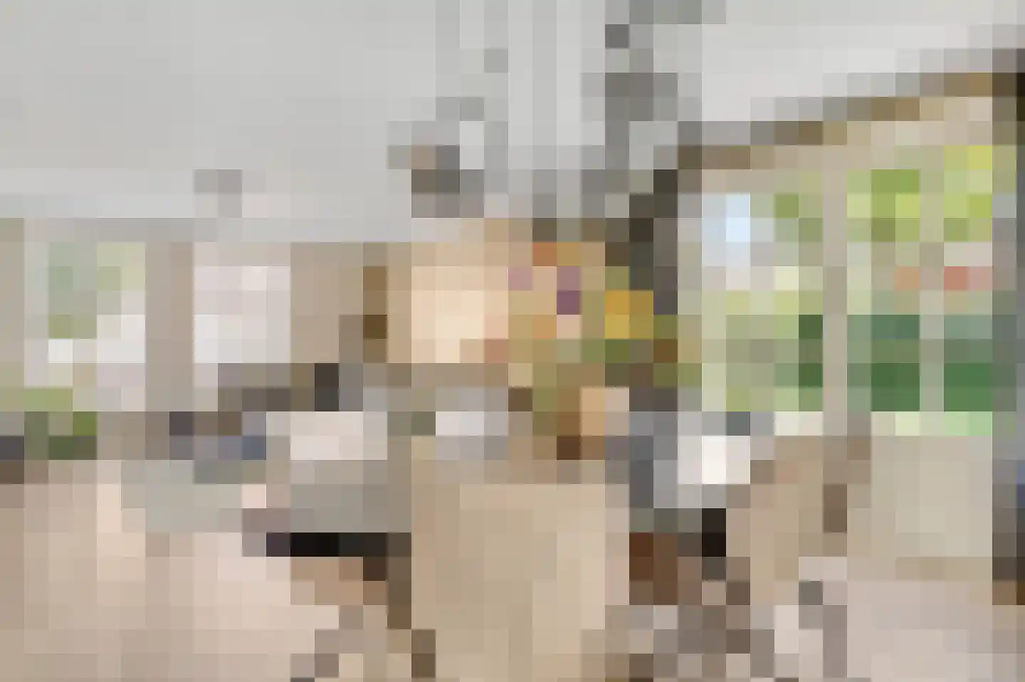 Schuttebeemd 2 Soerendonk thumbnail 11