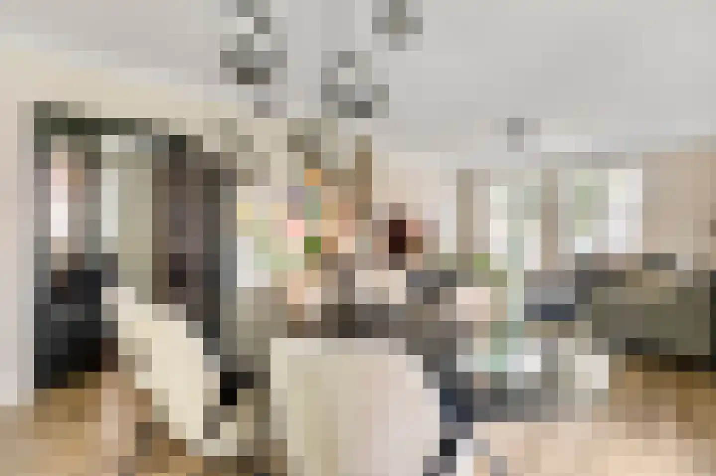Schuttebeemd 2 Soerendonk thumbnail 12