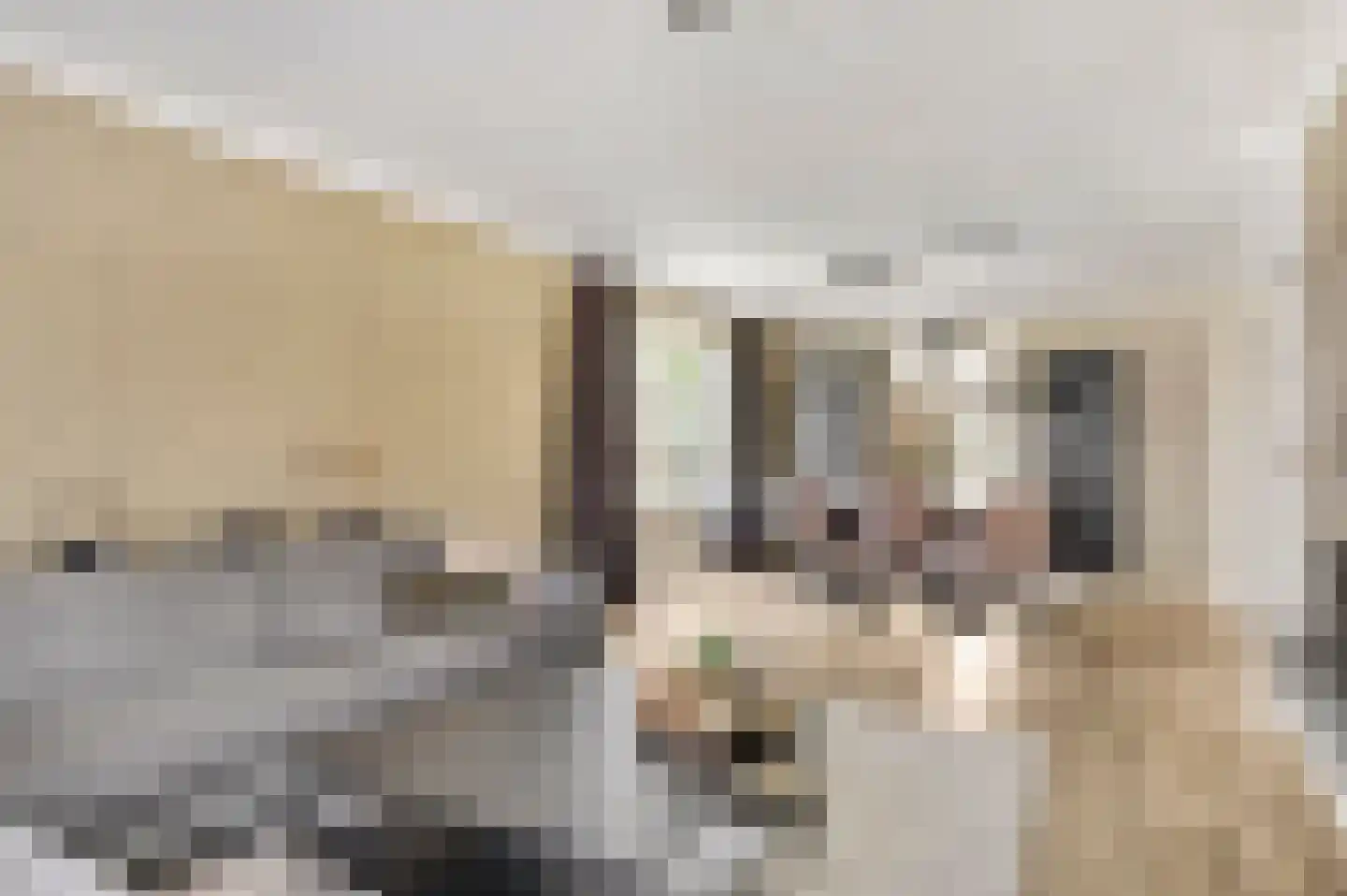 Schuttebeemd 2 Soerendonk thumbnail 17