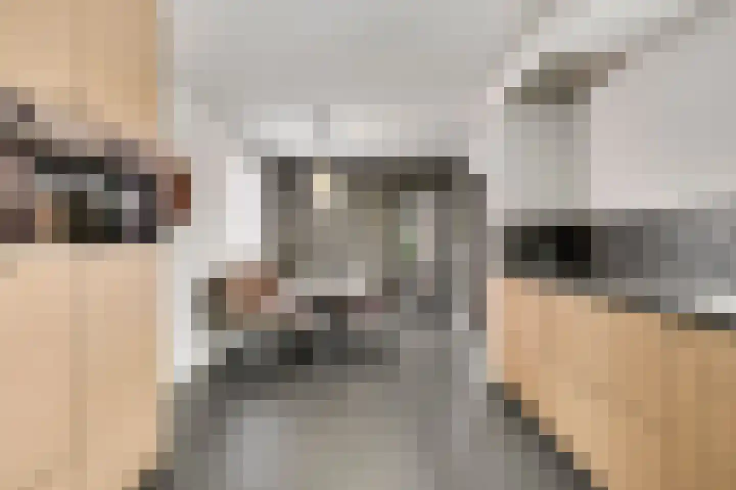 Schuttebeemd 2 Soerendonk thumbnail 19
