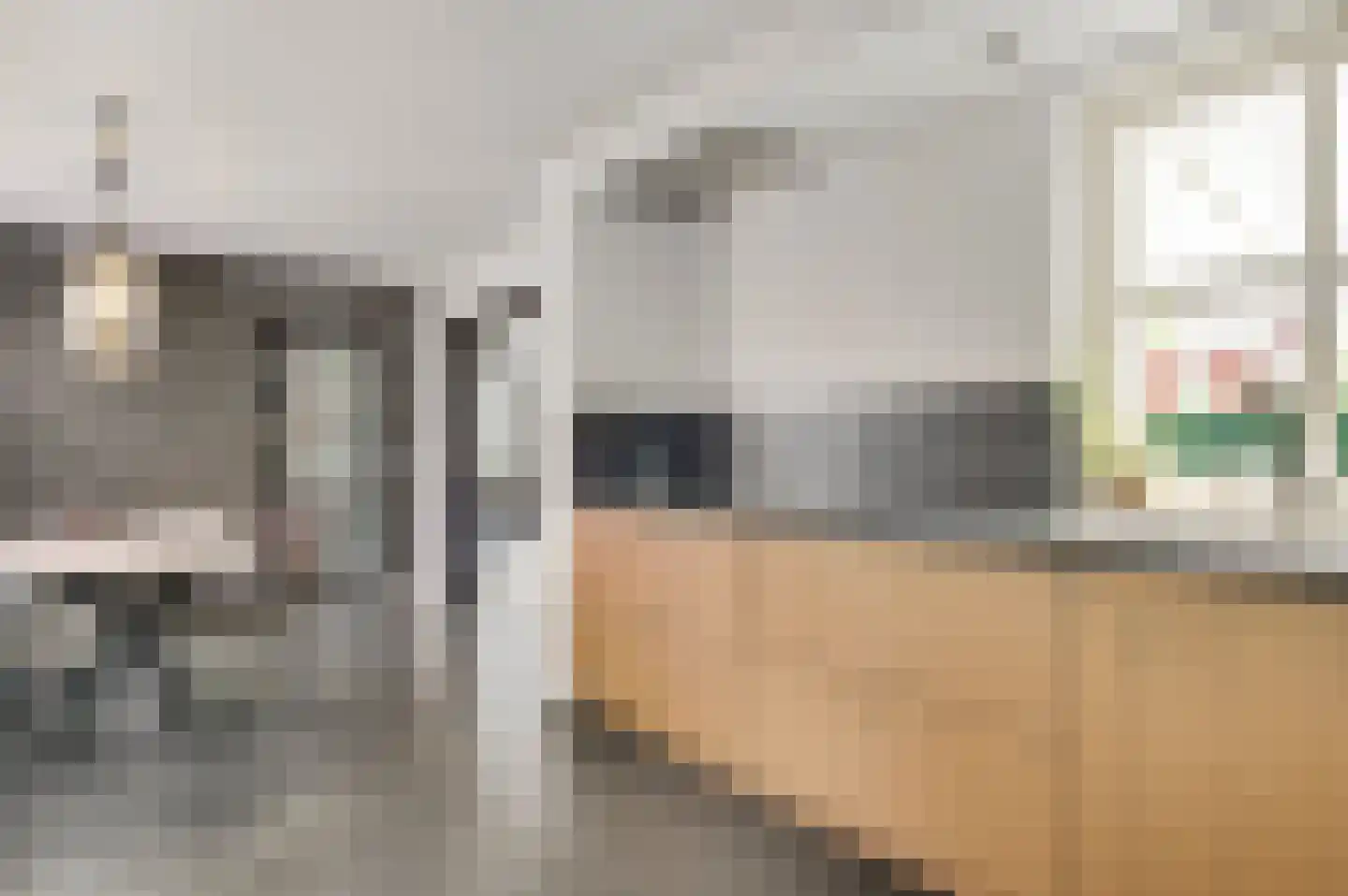 Schuttebeemd 2 Soerendonk thumbnail 20