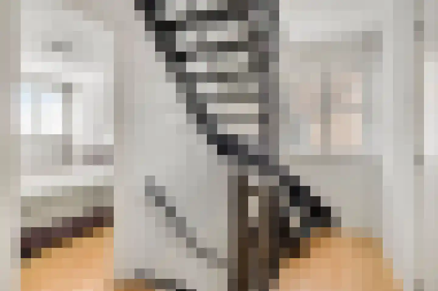 Schuttebeemd 2 Soerendonk thumbnail 22
