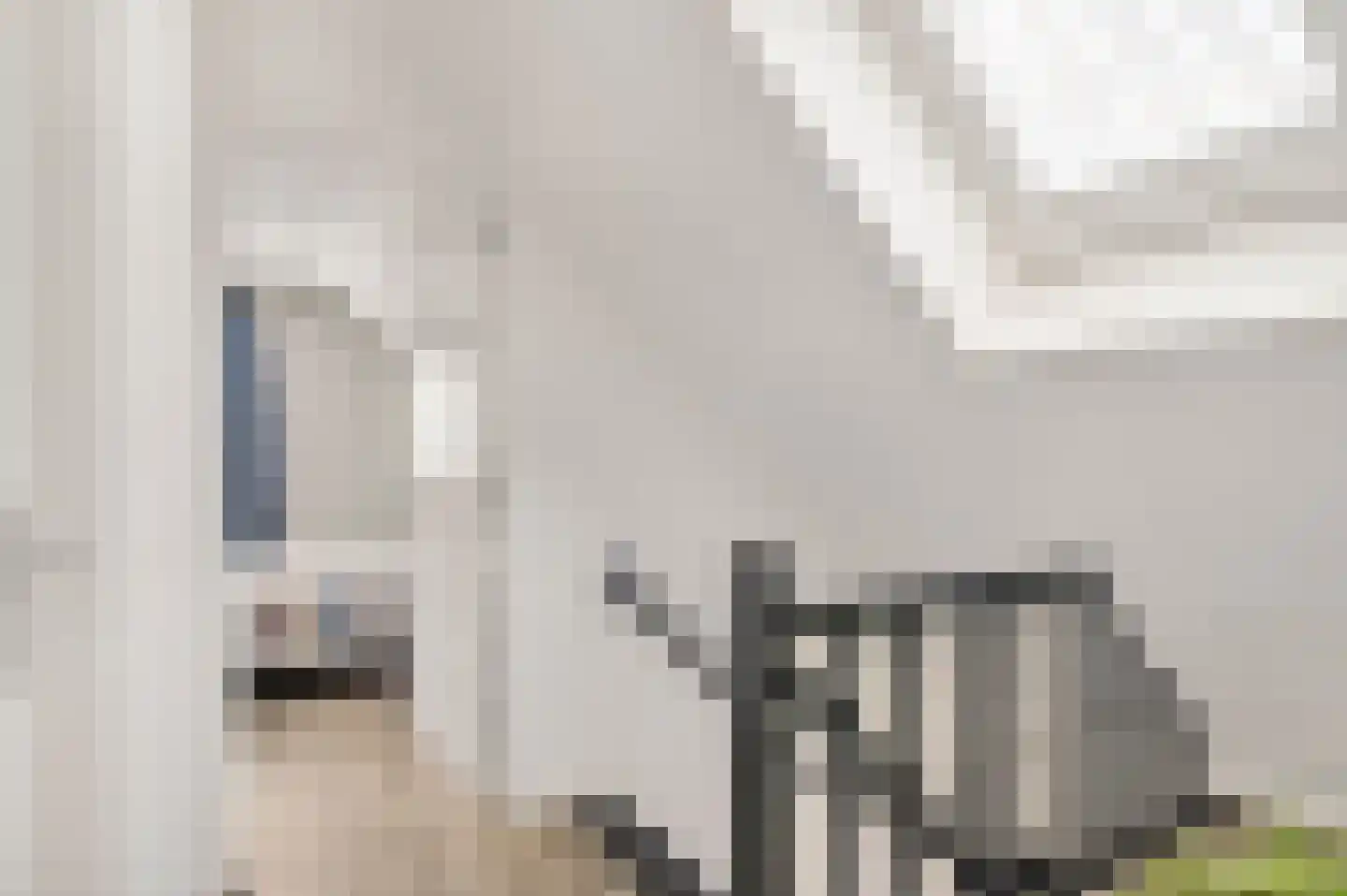 Schuttebeemd 2 Soerendonk thumbnail 31
