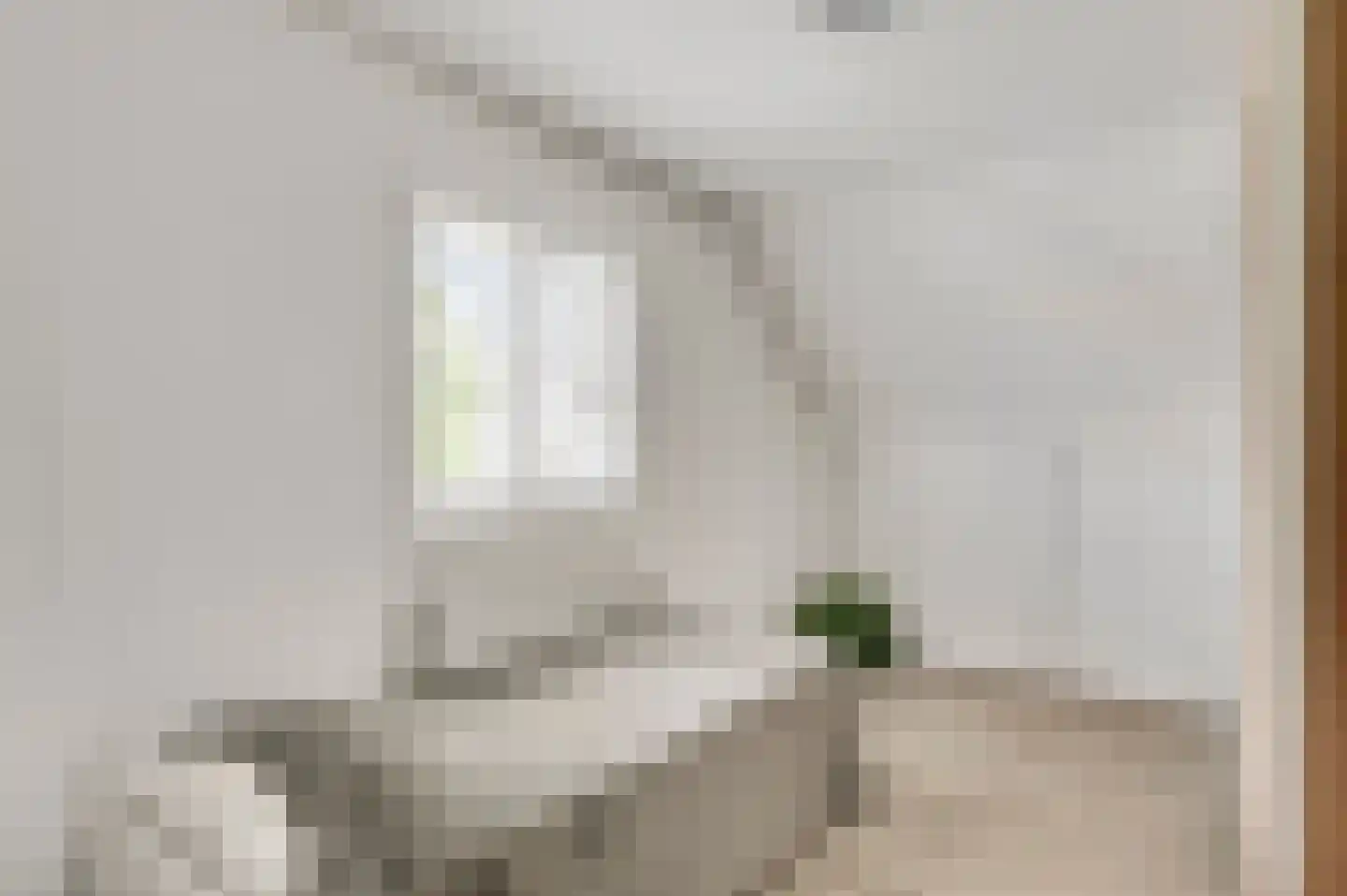 Schuttebeemd 2 Soerendonk thumbnail 34