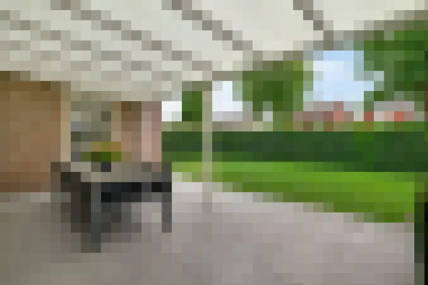 Schuttebeemd 2 Soerendonk thumbnail 36