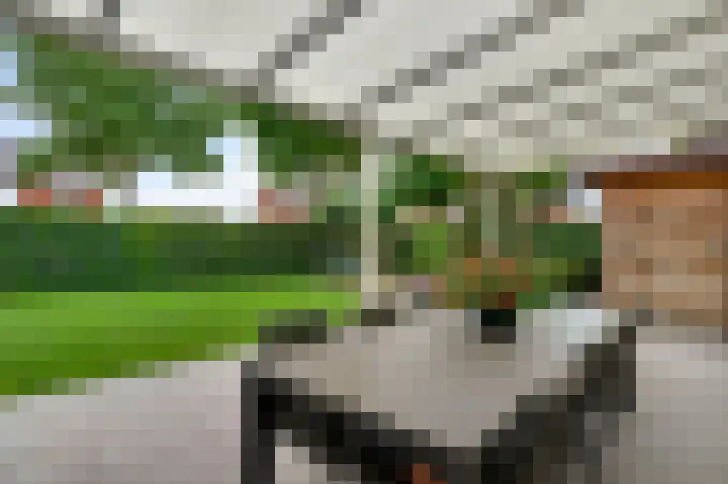 Schuttebeemd 2 Soerendonk thumbnail 37