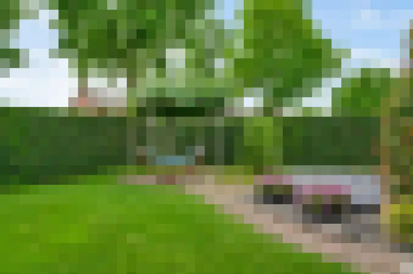 Schuttebeemd 2 Soerendonk thumbnail 43