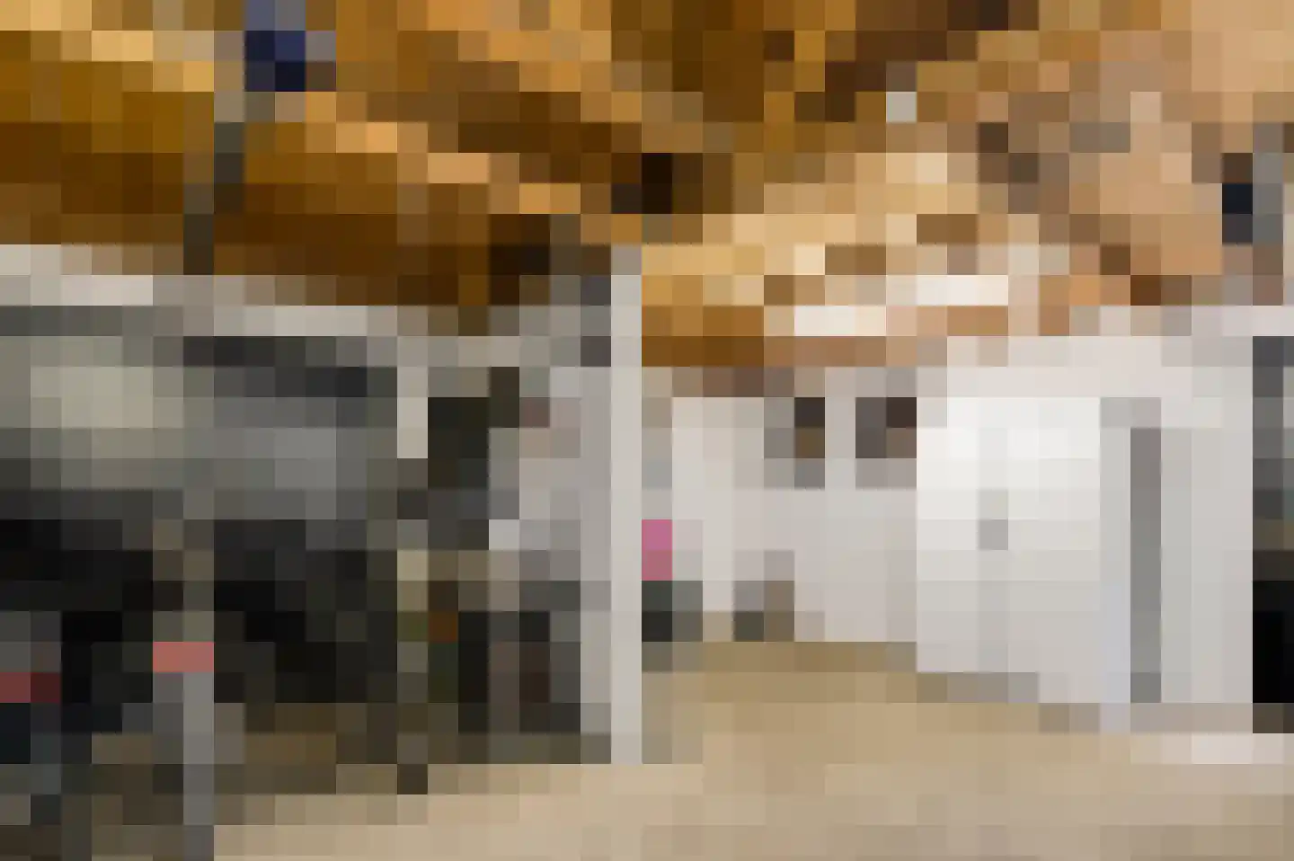 Schuttebeemd 2 Soerendonk thumbnail 44
