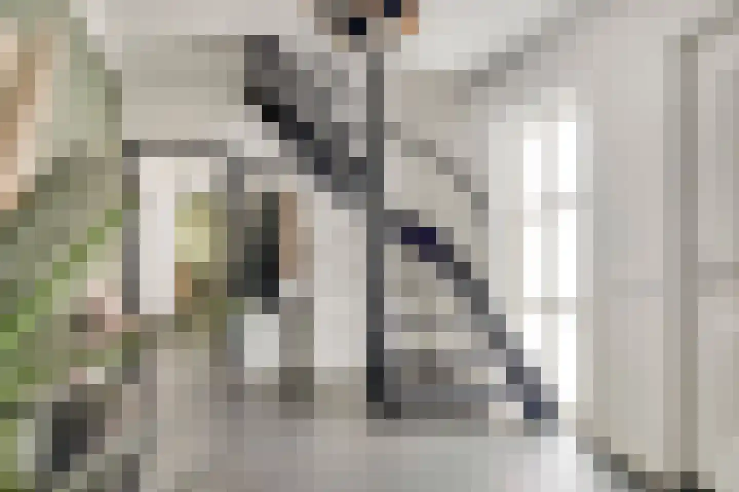 Schuttebeemd 2 Soerendonk thumbnail 6