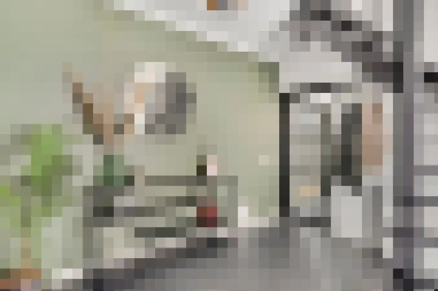 Schuttebeemd 2 Soerendonk thumbnail 8