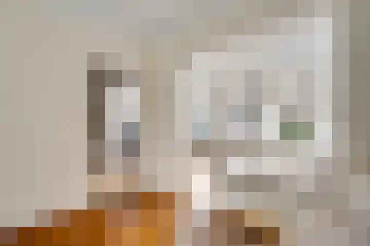 Schuttebeemd 43 Weert thumbnail 16