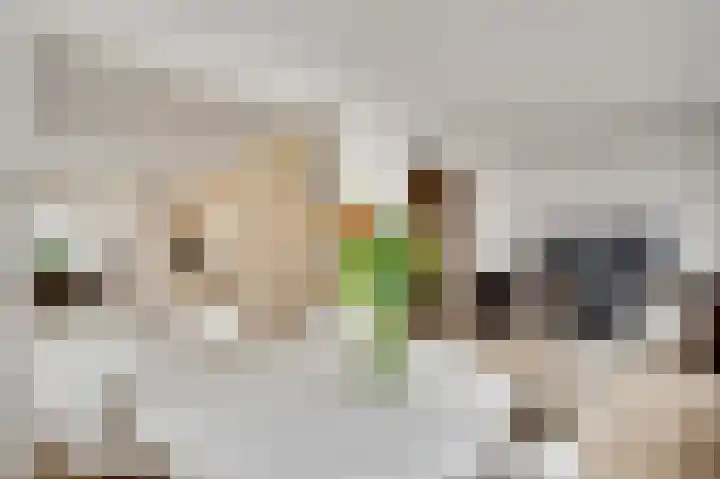Schuttebeemd 43 Weert thumbnail 18