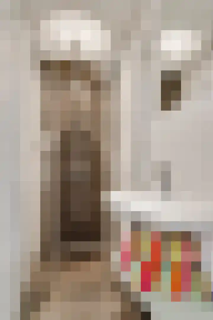 Schuttebeemd 43 Weert thumbnail 28