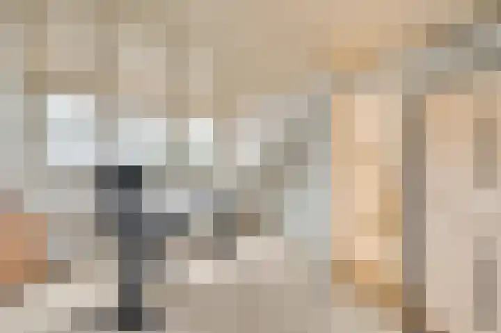 Schuttebeemd 43 Weert thumbnail 32