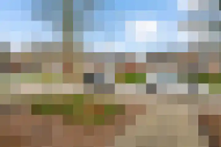 Schuttebeemd 43 Weert thumbnail 41