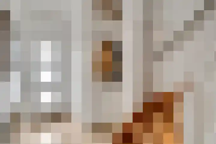 Schuttebeemd 43 Weert thumbnail 9