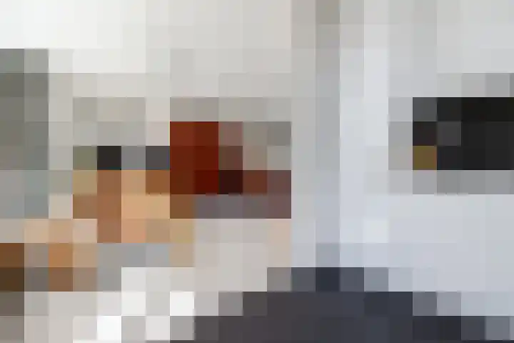 Schuttebeemd 48 Weert thumbnail 11